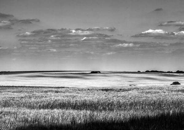 Summer on Cranborne Chase