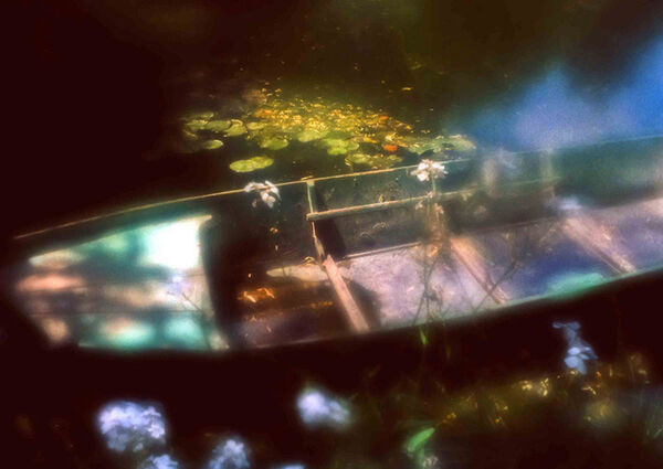 The Boat, Giverny Water Garden