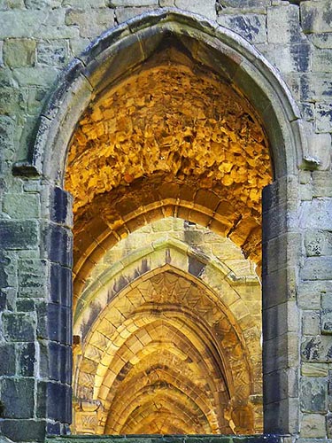 Window Light Kirkstall