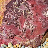 Worbarrow Rock Colour