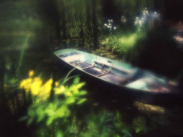 Yellow Iris and Boat