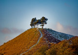Colmer's Hill in Winter