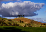 Colmer's Hill