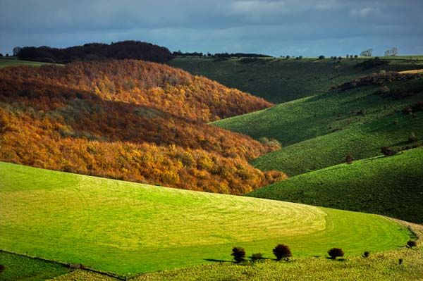 Compton Down