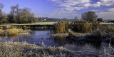 Cowgrove Stour