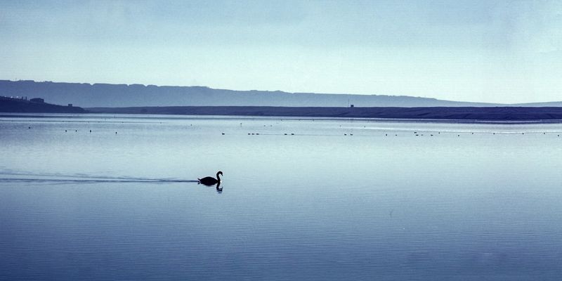 The Fleet, Chesil