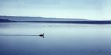 The Fleet, Chesil