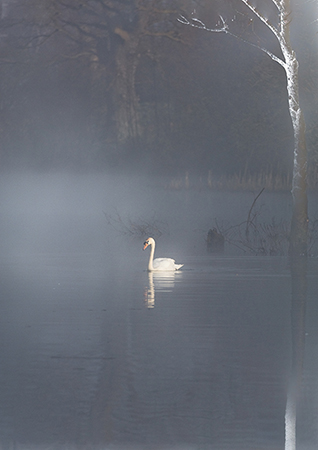 Moors Valley