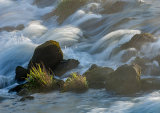 River Stour, Dudsbury