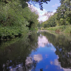 The Basingstoke Canal near Odiham