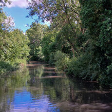 Tranquillity