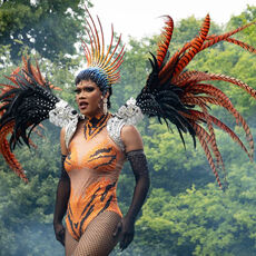 Photographs of the Week