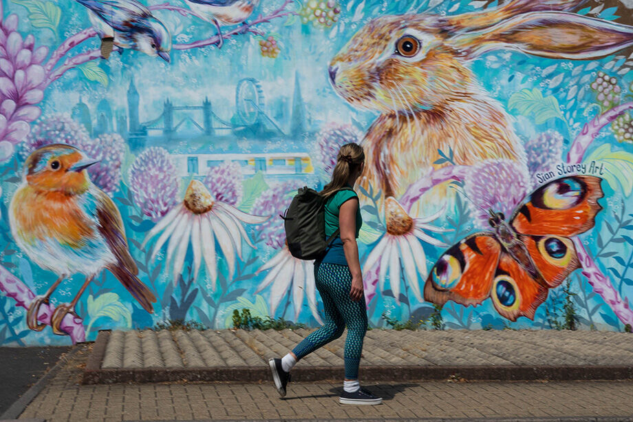 ....then there was this big rabbit (2026 Week 31)