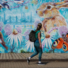Photographs of the Week