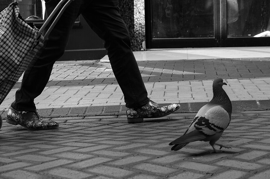 Keeping in Step (2026 Week 38)