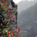 Nuns' Valley, Madeira