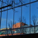 Reflections