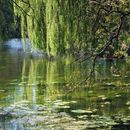 Basingstoke Canal
