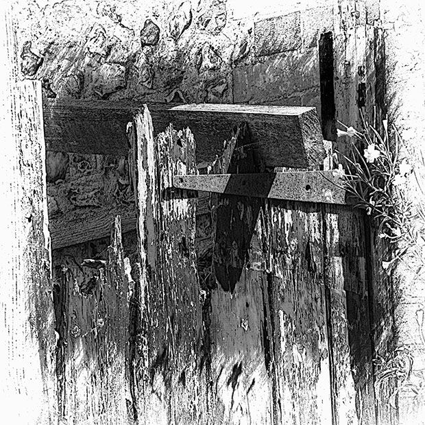 The Garden Gate (2025 Week 31)