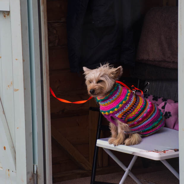 Dressed for the Weather