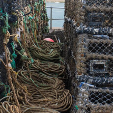 At Fisherman's Wharf