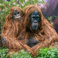 Photographs of the Week