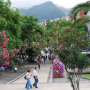 Funchal