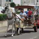 Local Transport