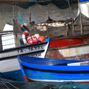 Fishing Boats
