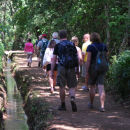 Levada Walking