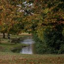 Petworth House Park