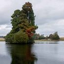 The Lake at Petworth House