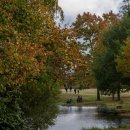 Petworth Park