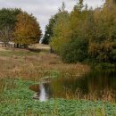 Petworth Park