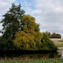 Petworth House Park