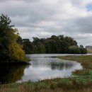 The Lake at Petworth House