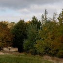 Petworth House Park
