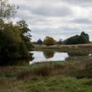 The Lake at Petworth House