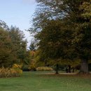 Petworth House Park