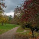 Autumn Colour (2)