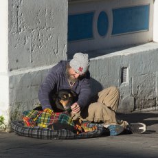 Rough Sleeper
