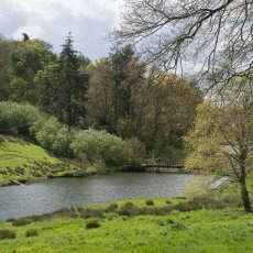 Lakes and Gardens