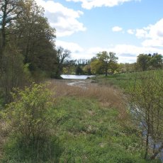 Lakes and Gardens