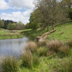 Lakes and Gardens