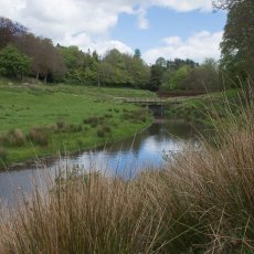Lakes and Gardens