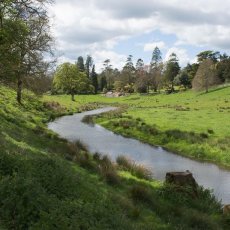 Lakes and Gardens
