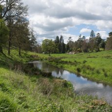 Lakes and Gardens