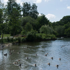 Black Dam Ponds
