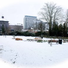 Station Master Garden