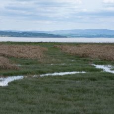 Morecambe By from Grange-over-Sands